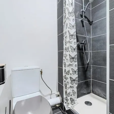 Apartment Beautiful Renovated Appart In The Center Of Lille