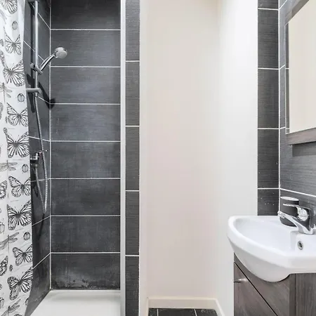 Apartment Beautiful Renovated In The Center Of Lille